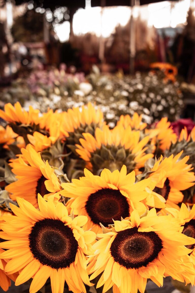 Homepage-11