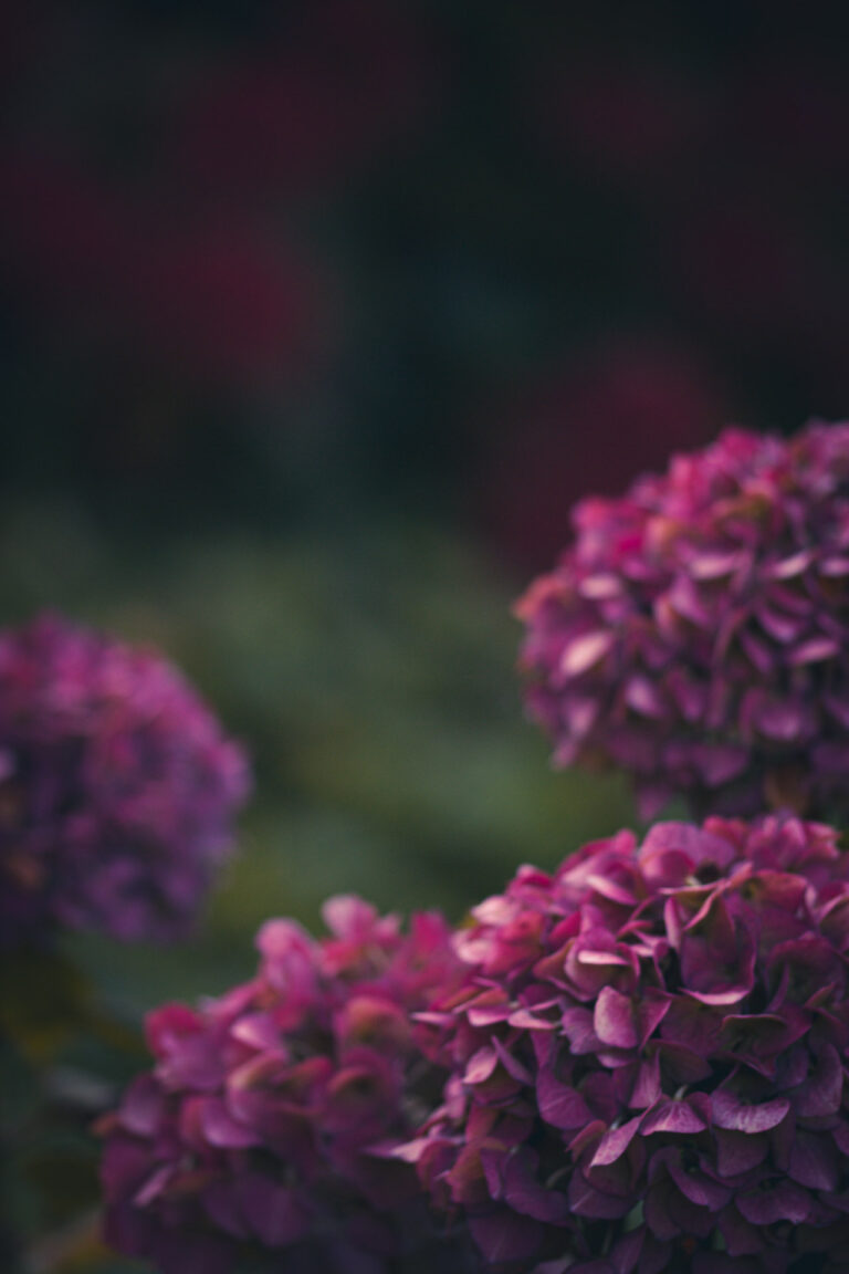 Blumen